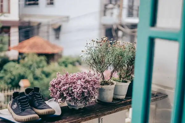 drying-your-shoes-properly