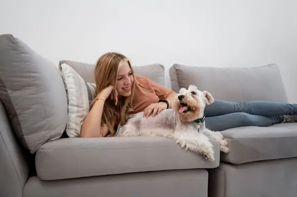 features-to-look-for-in-sofa-covers