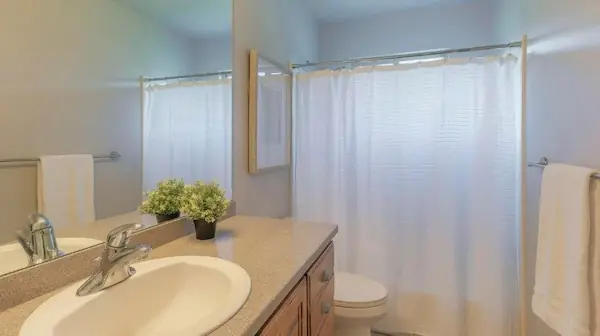 key-features-to-look-for-in-a-short-shower-curtain
