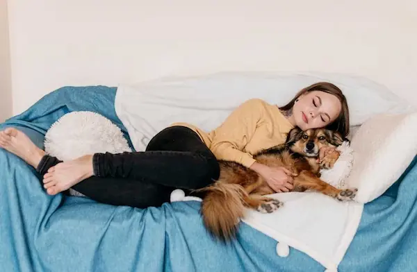 key-features-to-look-for-in-pet-friendly-couch-covers