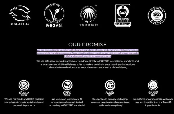viori’s-commitment-to-sustainability