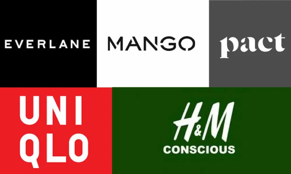 top-affordable-brands-to-know