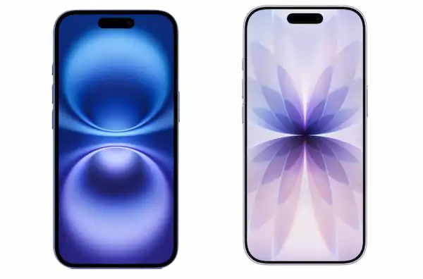 design-and-display