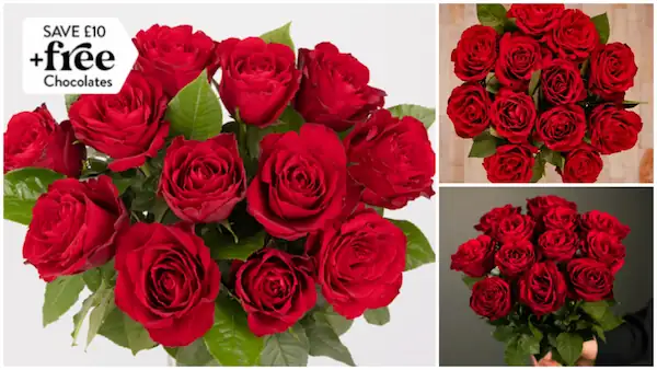 red-roses